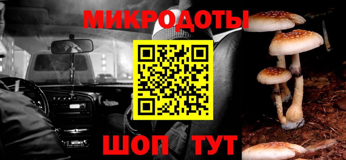 Орёл  Галлюциногенные грибы Psilocybe  Вход с VPN  Псилоцибиновые грибы Psilocybe 